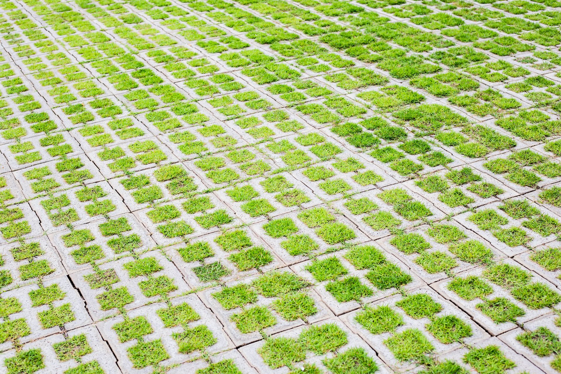 permeable pavements are designed to allow water to pass through