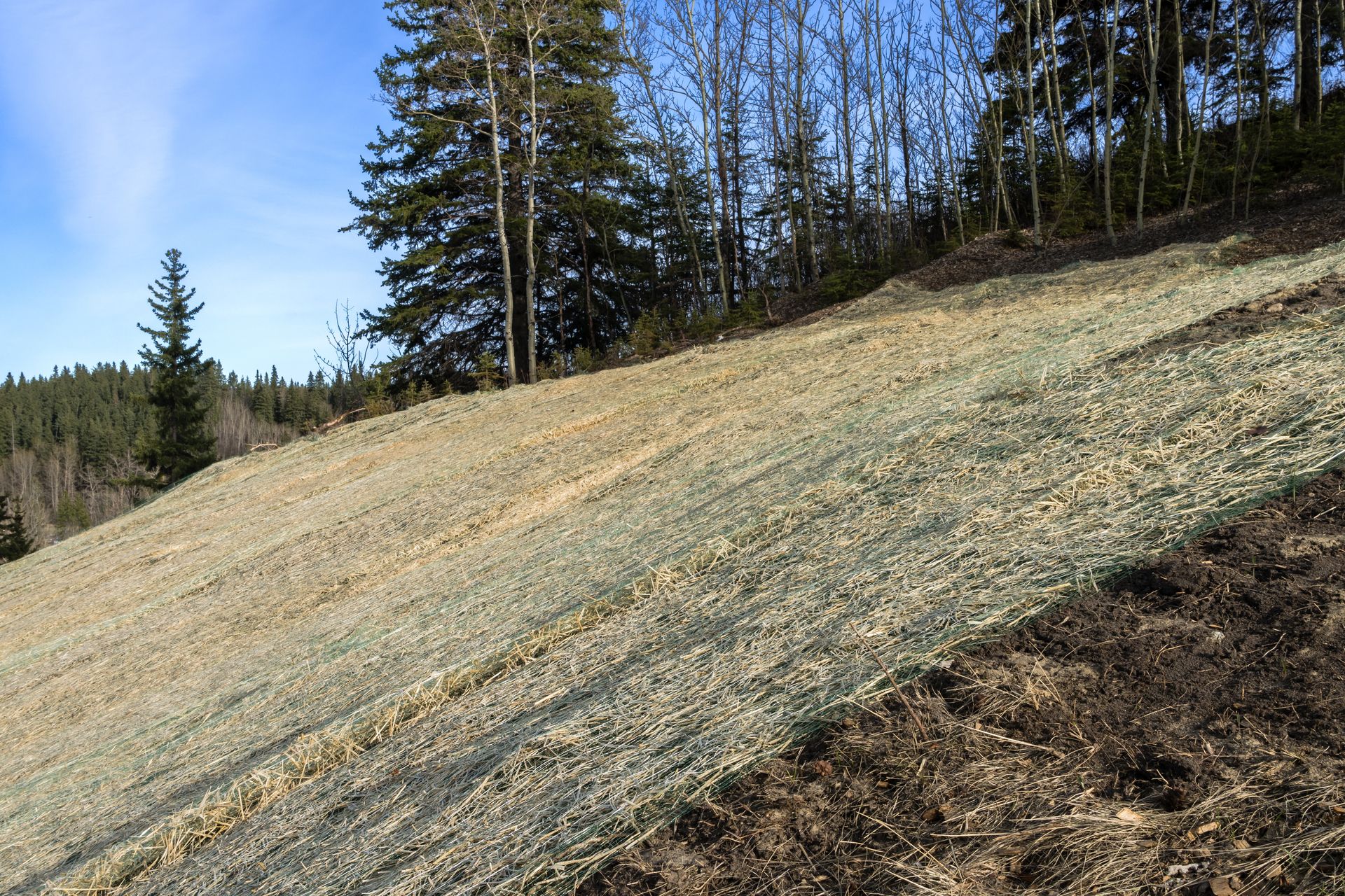 Complete Guide to Controlling Erosion on Slopes During Construction